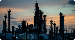 Consequences of the Privatization of the Petrochemical Industry